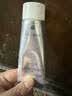 1号会员店（One's Member）钻石粉美白清新牙膏100g 薄荷味去黄去烟渍去牙垢京东自有品牌 实拍图
