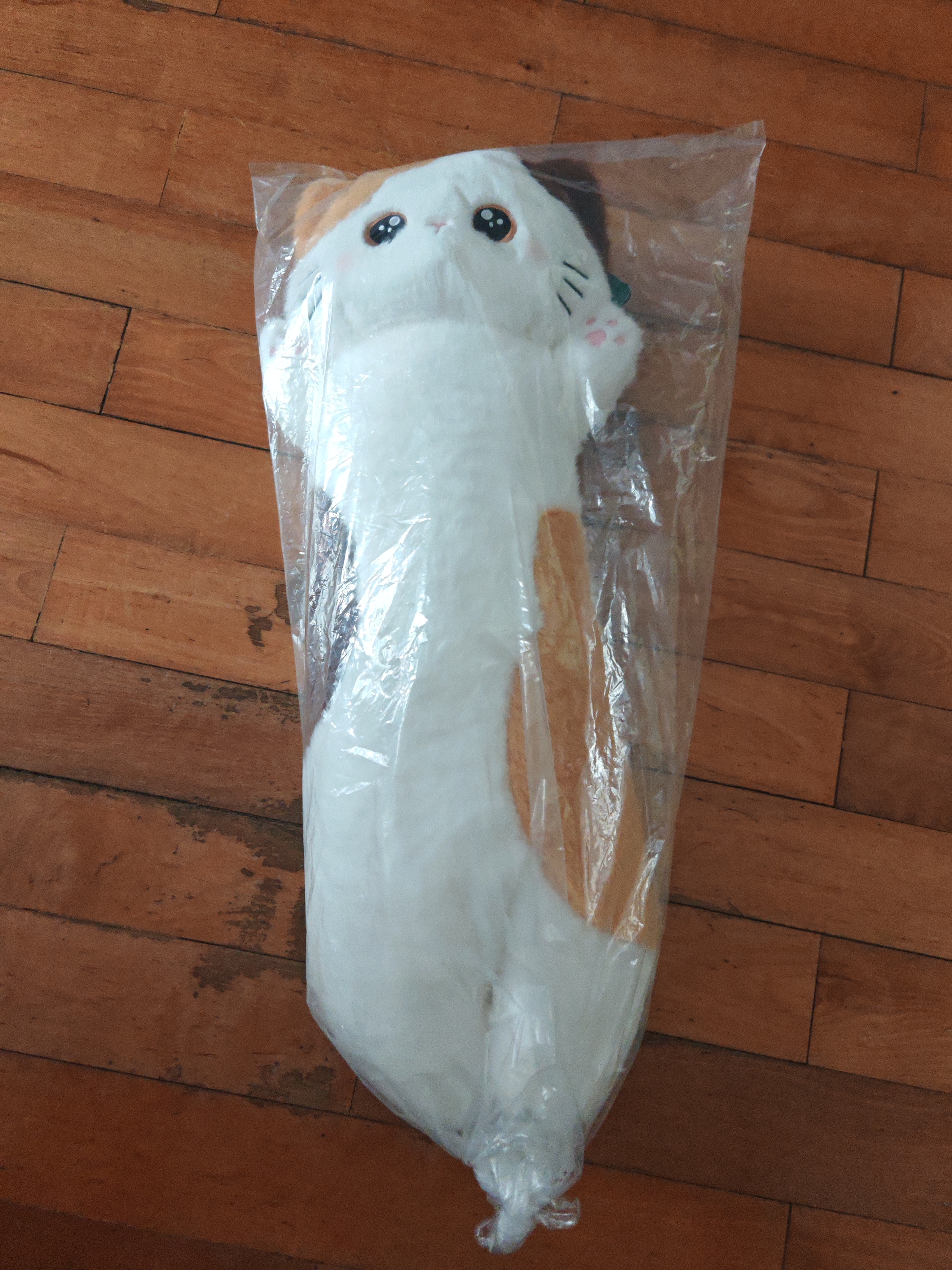 贝尚星三花猫咪玩偶娃娃公仔毛绒玩具大号长条枕抱枕睡觉夹腿生日礼物女 实拍图