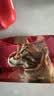 弗列加特猫粮 肠道养护 全价鲜肉天然粮 成猫粮鸡肉味2kg【宠物金选】 实拍图