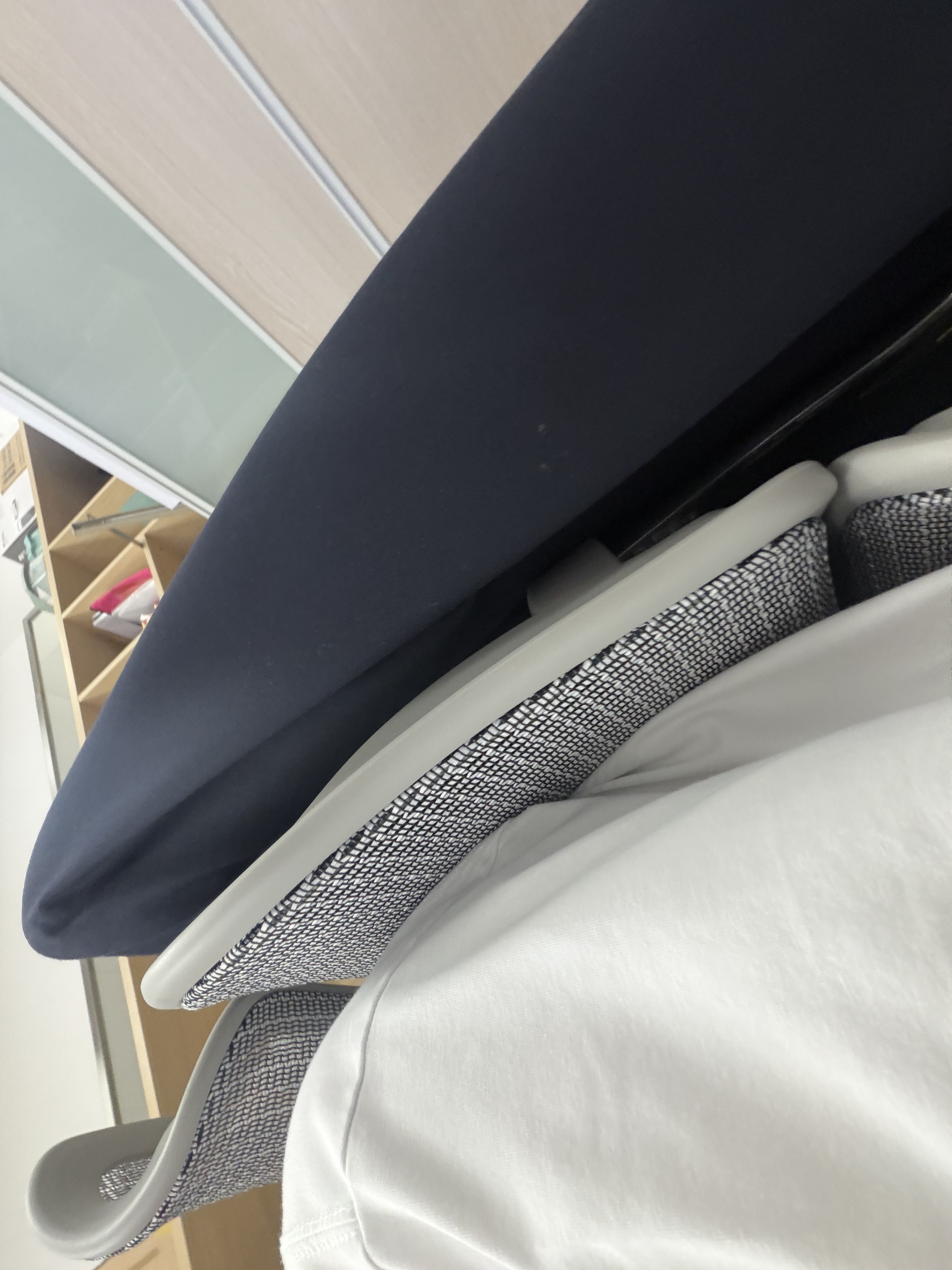 Ergonor保友金豪B雄鹰/悦动 人体工学椅 电脑椅电竞椅办公椅子可躺座椅 银白网+躺舒宝 实拍图