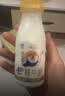 每日鲜语鲜牛奶 A2β-酪蛋白鲜牛奶185ml*6 巴氏杀菌乳 低温鲜奶 实拍图