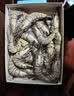 GUO LIAN国联 黑虎虾超大斑节虾无冰净重2斤 16-20只高虾青素海鲜礼品 实拍图