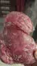 月盛斋【冷鲜牛肉】国产牛腩净重2斤 内蒙冰鲜牛肉鲜肉 中华老字号 实拍图