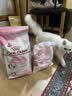 皇家猫粮 幼猫猫粮 幼猫奶糕 K36 通用粮 4-12月 2KG 实拍图