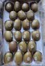 佳沛（zespri）新西兰金奇异果22粒巨大原箱146-175g猕猴桃水果礼盒 实拍图
