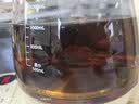 荣事达（Royalstar）养生壶 恒温壶烧水壶电热水壶 1.7L办公室家用煮茶壶全自动保温2026新款京东自营YSH1761R（304） 实拍图