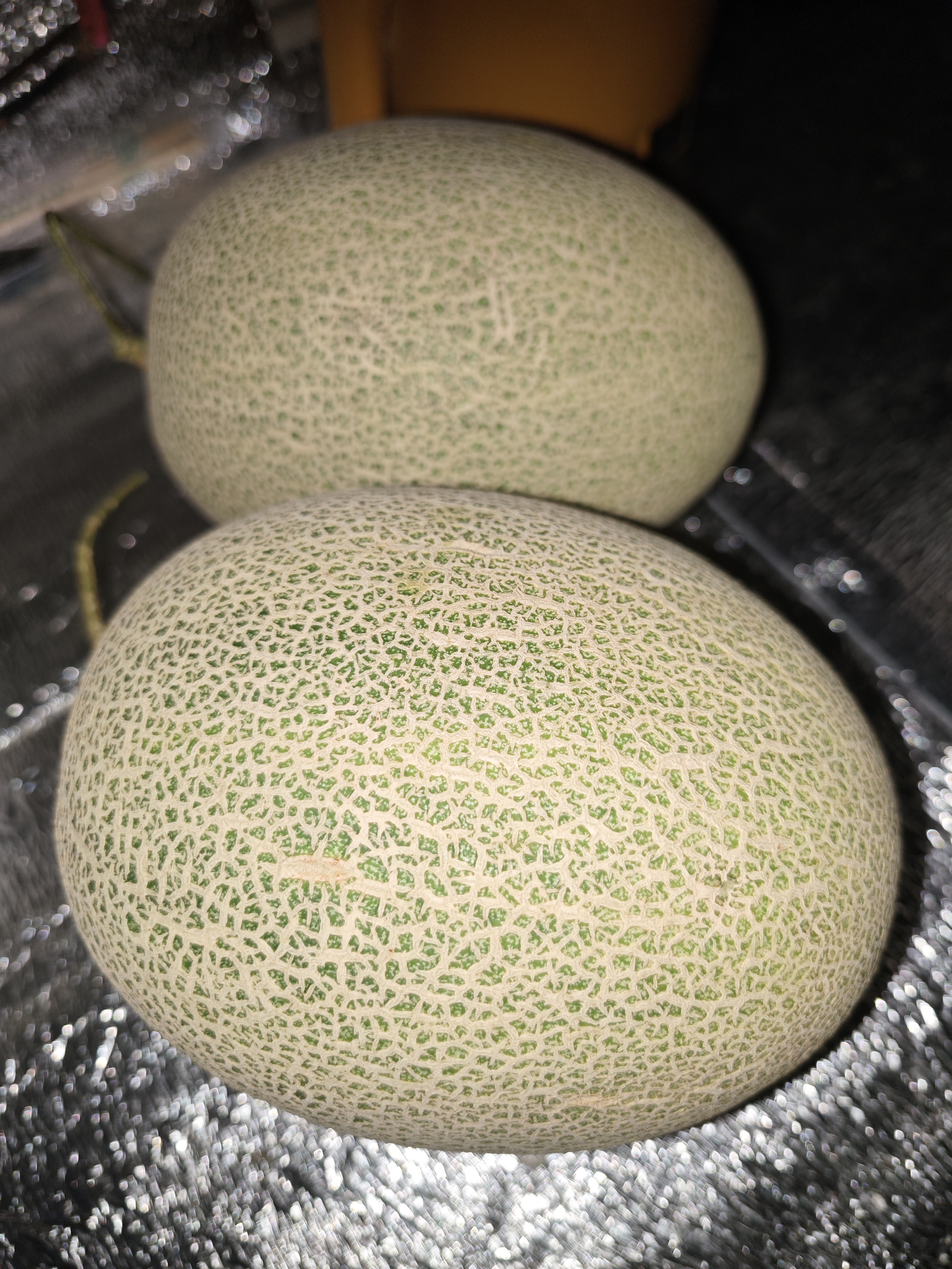 京鲜生【脆甜】哈密瓜/西州蜜 2粒 6-8斤 单果3斤起 生鲜水果礼盒 实拍图