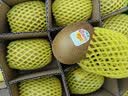 佳沛（zespri）金奇异果25-27粒原箱特大果124-146g猕猴桃水果礼盒 实拍图