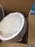 小熊（Bear）电饭煲 家用2-3人用 快煮饭 微压煮饭更香不粘内胆电饭锅3L DFB-H30J8 实拍图