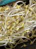 有机黄豆芽200g 实拍图