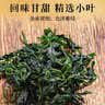 福茗源小叶苦丁茶精选特级品质2026新茶四川峨眉山嫩芽茶叶泡水喝的200g 实拍图
