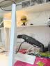 NB显示器支架倒挂机械臂 电脑支架桌面夹式底座倒装屏幕升降臂17-32吋宿舍悬空托架适配卓威电竞H100 实拍图