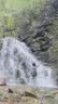 探路者（TOREAD）喀纳登山杖碳纤维伸缩手杖户外徒步超轻便携爬山装备拐杖 树莓粉 实拍图