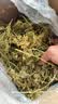 喜帅 烘干胡萝卜缨幼兔粮牧草垂耳兔粮干草龙猫豚鼠饲料500g净重/箱 实拍图