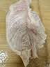 上鲜鸡大胸 净重8斤 鸡胸肉轻食烧烤食材生鲜鸡肉鸡排早餐 美食大赛 实拍图