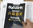 星火英语六级真题备考2026年12月大学英语六级备考资料英语四六级真题试卷6级英语真题通关词汇英语四六级考试必备资料词汇单词书听力阅读翻译写作专项训练 【通关6本套】六级通关+词汇+听力阅读写作翻译专 实拍图