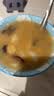 小熊（Bear）电炖锅 电炖盅 煲汤锅炖汤锅 婴儿辅食锅煮粥锅熬粥宝宝炖盅养生小型1-2人煮粥神器DDG-H15Z6 1.5L 实拍图