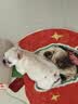 皇家狗粮 斗牛犬成犬狗粮 犬粮 宠物中型犬 FBA26 全价犬粮 ≥12月3KG 实拍图