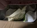 子初婴儿洗衣液儿童洗衣液宝宝专用洗衣液成人可用补充装500g*8袋 实拍图