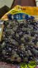 王致和 烘焙馅料 多彩蜜豆 500g  实拍图