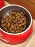 皇家英短成猫粮 BS34 通用粮 12月以上 4.5KG【宠物金选】 实拍图