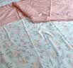 LOVO罗莱家纺 公主风全棉床品四件套纯棉床品(床笠款)220*240cm 实拍图