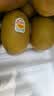 佳沛（zespri）新西兰金奇异果22粒巨大原箱146-175g猕猴桃水果礼盒 实拍图
