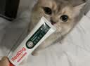 红狗 化毛膏58g 猫咪化毛膏猫咪营养膏化毛球片猫草片排毛化毛 实拍图