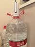 飞利浦（PHILIPS）抽水器桶装水抽水神器自动抽水泵折叠饮水机上水器电动抽水机取水器压水器 升级款【折叠抽水器】tpcy-c接口非 制热型 实拍图