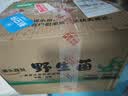 京鲜生云南特产鲜菌菇【新鲜见手青】净重2斤牛肝菌火锅食材源头直发 实拍图