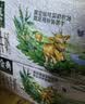 伊利【新鲜日期】金典纯牛奶 200ml*12盒 3.6g乳蛋白礼盒装 实拍图