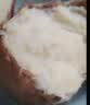 佳农宝菜鹤壁哈密白薯单果100g+白心红薯净重7斤地瓜源头直发 实拍图