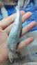 纯色本味舟山去头小黄花鱼净重2.8斤 烧烤食材纯鱼肉 实拍图