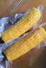 佳农东北水果玉米棒6*240g 真空包装 开袋即食 源头直发生鲜 实拍图