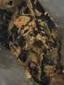 IRVINS新加坡进口 咸蛋黄海苔脆片 170g 170g*1袋 实拍图