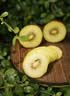 佳沛（zespri）金奇异果25-27粒原箱特大果124-146g猕猴桃水果礼盒 实拍图