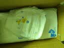 菲比Fitti秒吸舒爽乐玩裤拉拉裤L138片(9-14kg)大码裤型尿不湿 实拍图