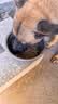 诚实一口N01牧野成犬中大型犬幼犬冻干双拼肉松鸭肉梨营养美毛狗粮9kg 实拍图