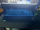 雷蛇（Razer） 炼狱蝰蛇标准版 宏电竞游戏 鼠标有线人体工学电脑吃鸡/LOL/CSGO适用 【键鼠套装】蝰蛇标准版黑+雨林狼蛛V3X 实拍图