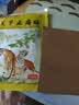 麝香壮骨膏风湿性关节痛肩周炎颈椎腰椎间盘突出远红外镇痛贴膏 10贴*1袋 【安心试购】 实拍图