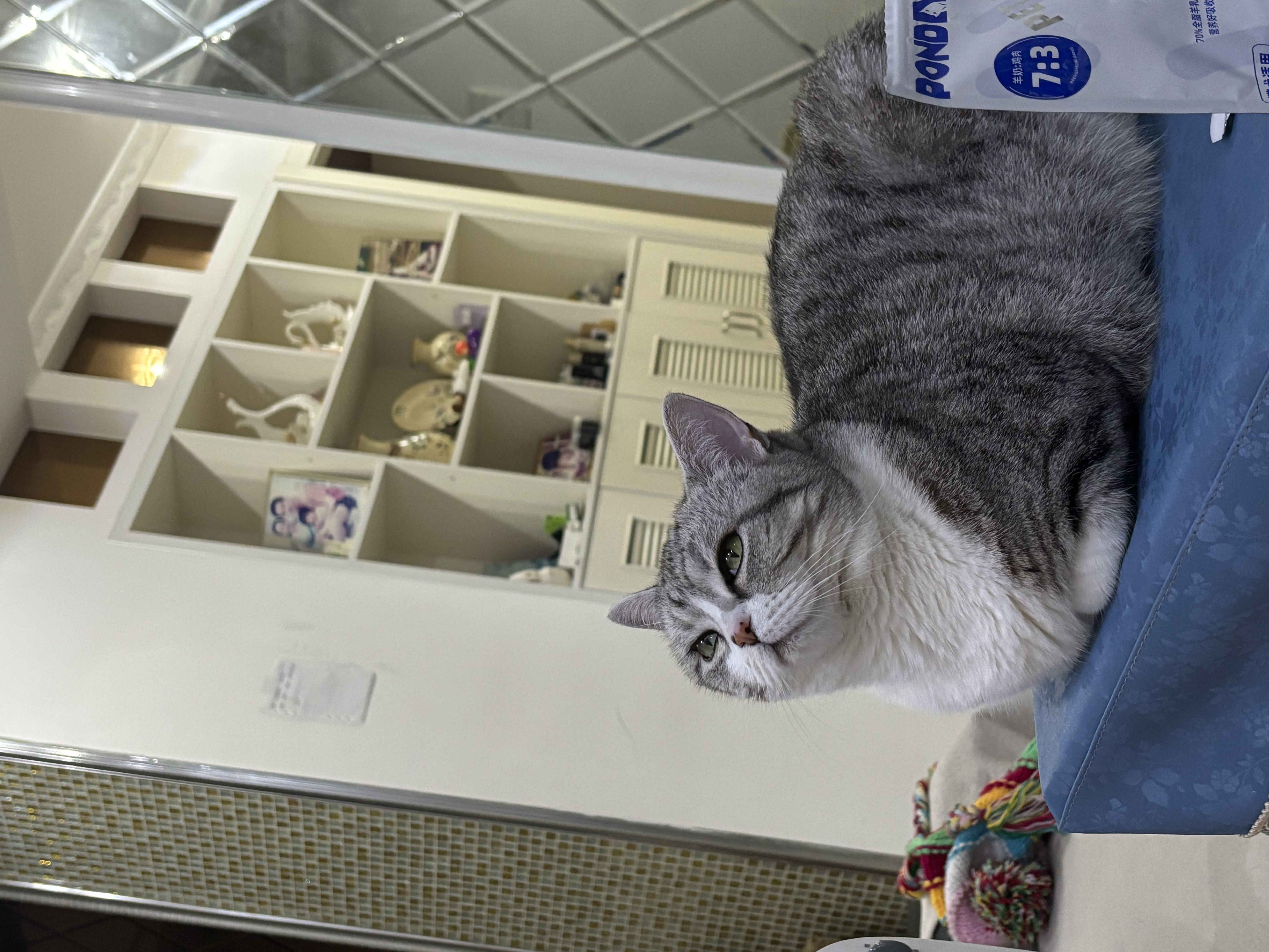 网易严选全价冻干双拼猫粮3.0 猫干粮成猫幼猫通用高鲜肉粮 自营金选1.8kg 实拍图