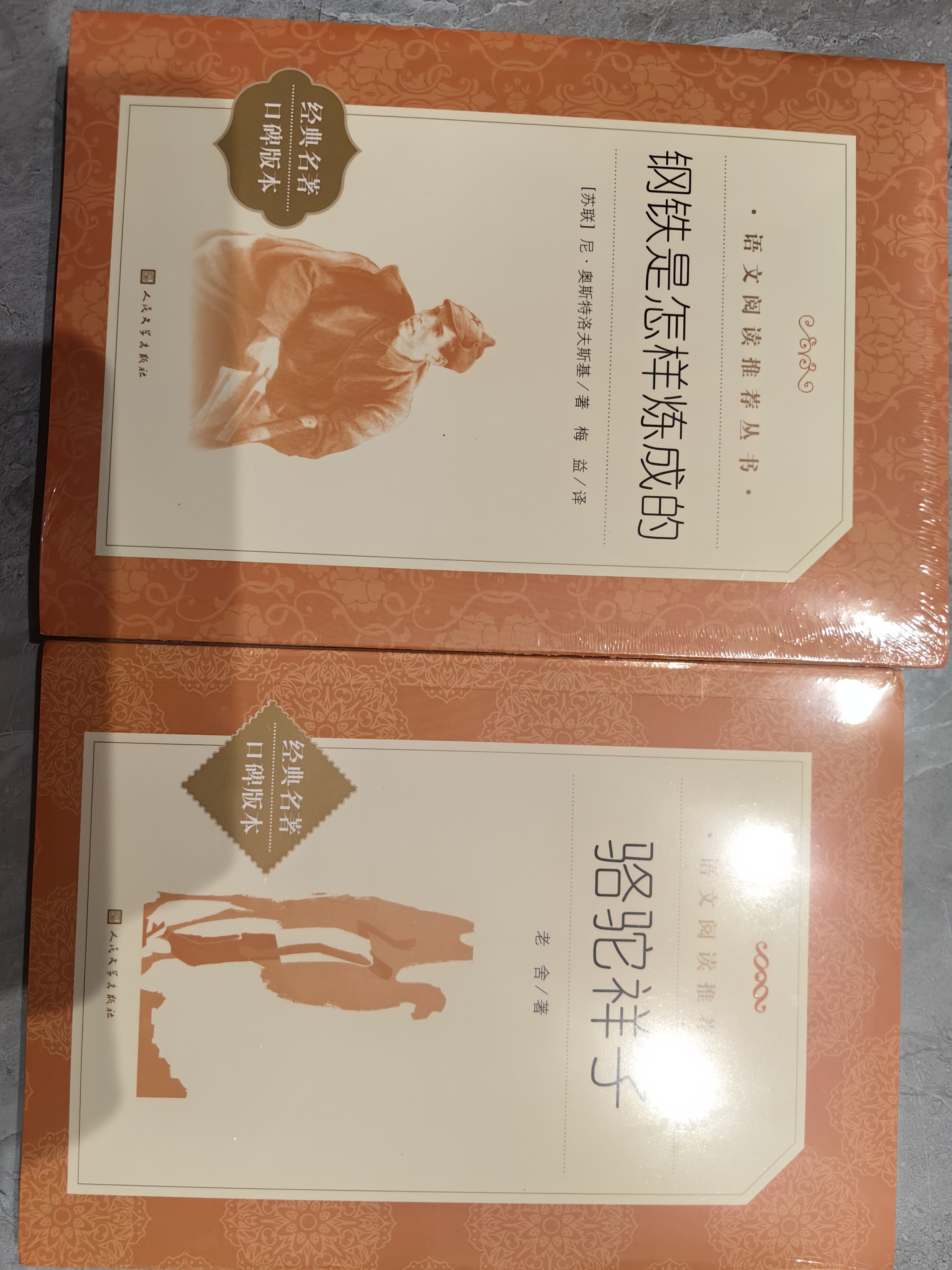 骆驼祥子+钢铁是怎样炼成的 初一 七年级下 套装共2本 七年级下册必读 语文阅读推荐丛书 人民文学出版社 实拍图