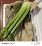 京地达山东水果西芹 净重3斤 榨汁芹菜蔬菜源头直发包邮 实拍图