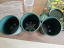 墨斗鱼花盆加仑盆加厚高款1加仑*3多肉绿萝月季盆栽树脂塑料简约带托盘 实拍图