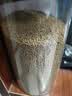 吉品红金鱼饲料草金锦鲤鱼粮食小型冷水观赏鱼专用颗粒通用喂鱼料600克 实拍图