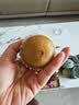 佳沛（zespri）新西兰金奇异果4粒103-114g猕猴桃源头直发水果礼盒 实拍图