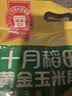 十月稻田 黄糯6cm玉米段 8段 共1.6斤 东北杂粮粗粮 低脂早餐 火锅食材 实拍图