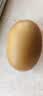 佳沛（zespri）新西兰金奇异果12粒特大果124-146g猕猴桃水果礼盒 实拍图
