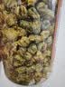 雷允上菊花 桐乡胎菊 菊花茶50g 桐乡花草茶泡水喝凉茶养生茶 实拍图