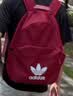 adidas休闲日常通勤运动双肩背包学生书包开学男女阿迪达斯三叶草   胜利红   NS(均码) 实拍图